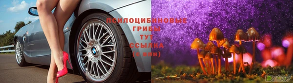 герыч Нязепетровск