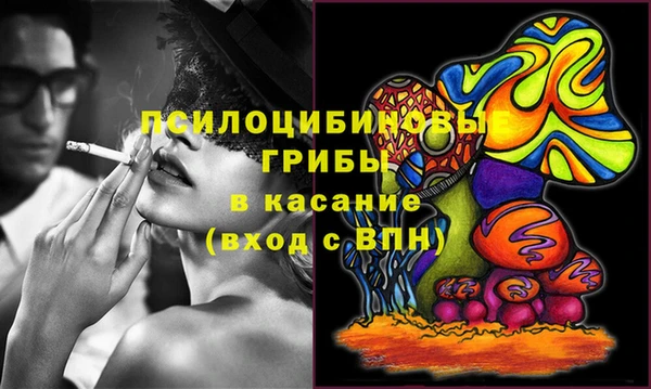 ALPHA-PVP Няндома