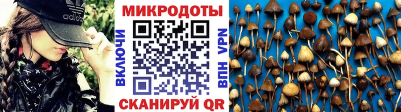 ссылка на мегу ССЫЛКА  Ярославль  Псилоцибиновые грибы Cubensis  сколько стоит 