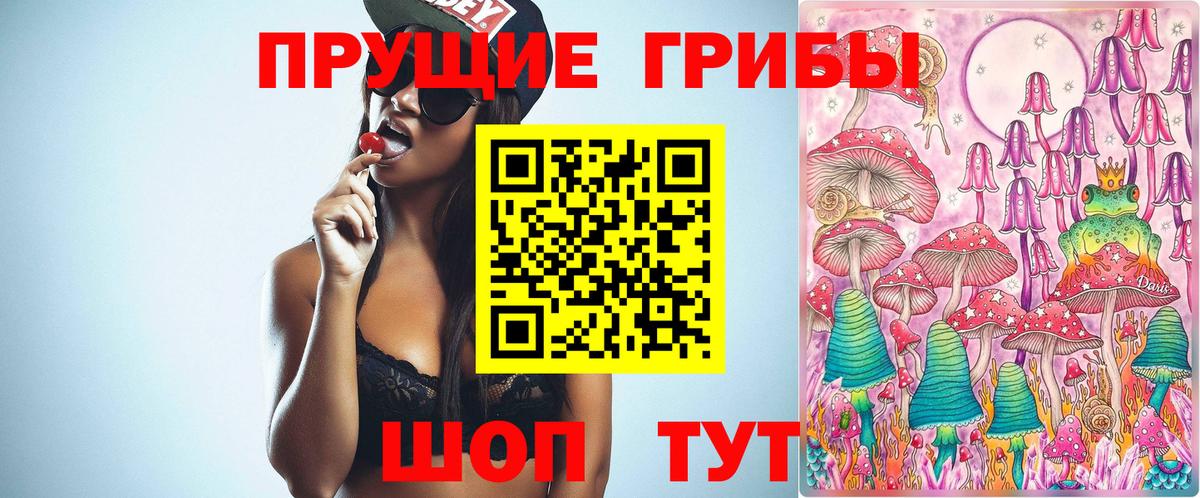Псилоцибиновые грибы Psilocybine cubensis  Вход с VPN  наркота  Ярославль 