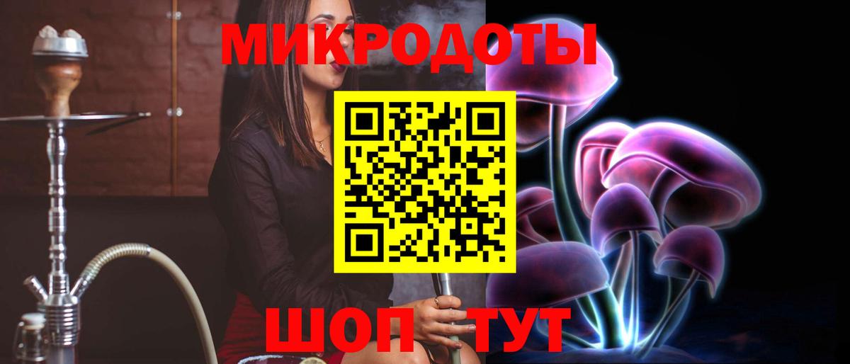 Псилоцибиновые грибы Psilocybe Ярославль